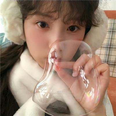 都柏林动物